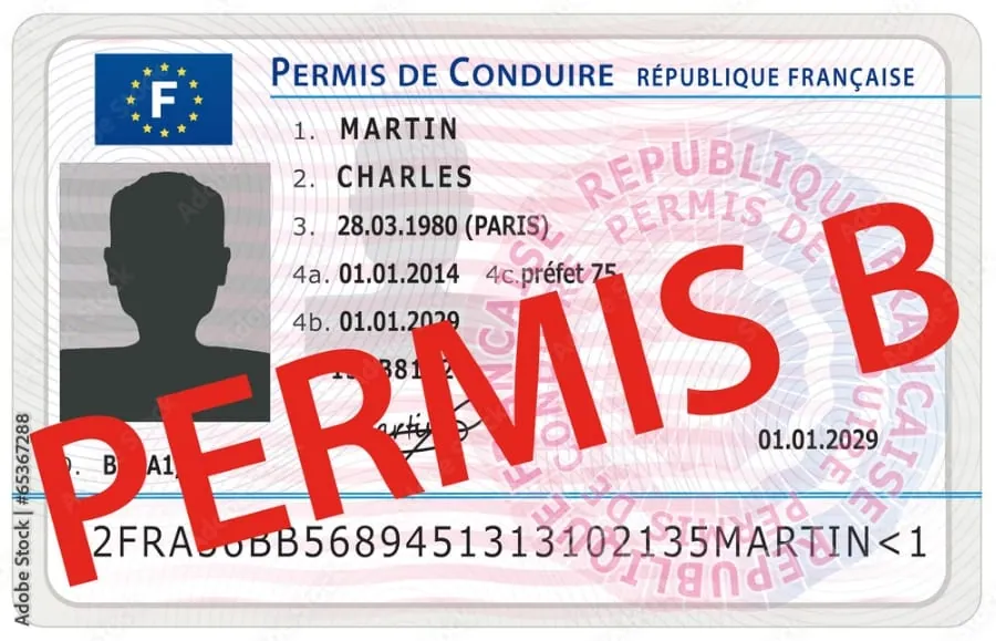 Pourquoi protéger son permis de conduire ?
